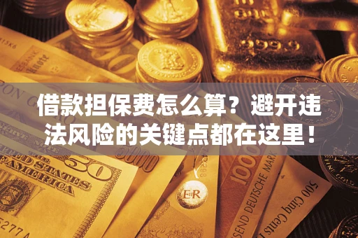 济南借款担保费怎么算？避开违法风险的关键点都在这里！
