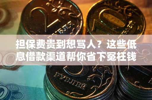 济南担保费贵到想骂人？这些低息借款渠道帮你省下冤枉钱