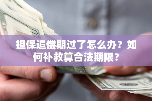 济南担保追偿期过了怎么办？如何补救算合法期限？