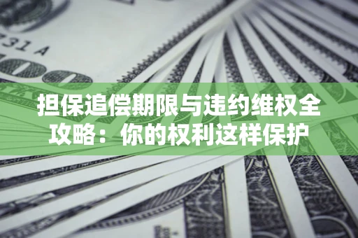 济南担保追偿期限与违约维权全攻略：你的权利这样保护